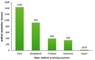 Valorization of jackfruit waste into value added products and their potential applications